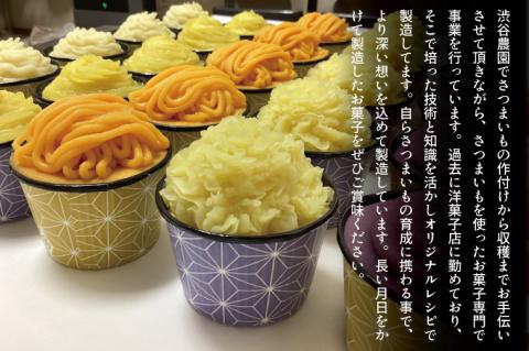 EI-1　2種モンブランセット