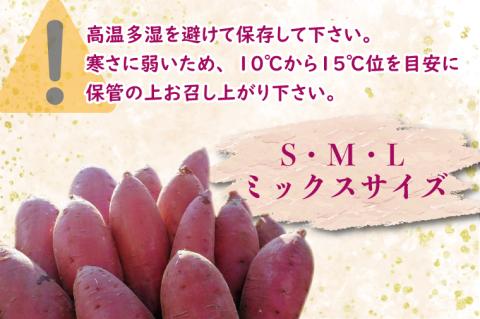 【2026年1月中旬より順次発送】野原さんちのシルクスイート 約5kg｜芋 さつまいも サツマイモ お芋 いも シルクスイート 期間限定 先行予約 茨城県 行方市(EL-3-1)