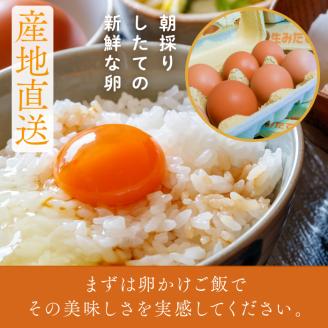U-5 ◆6ヵ月定期便◆ 黄身がしっかり濃厚な卵【アスタの恵み】50個×6