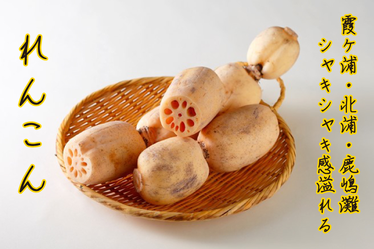 ～GI登録「さつまいも」使用～「行方かんしょとれんこんのカレー」＆「パックご飯」各3個セット｜カレー レトルト レトルトカレー パックご飯 ごはん レンジ コシヒカリ 非常食 ご当地 ご当地カレー 人気 オススメ 便利 特産品 地元特産品 茨城県 行方市(AE-146)