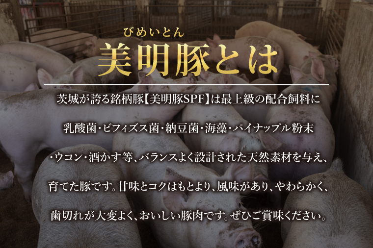 名店‼ブリル飯店名物 チャーシュータルト 3個入×2セット｜タルト チャーシュー チャーシュータルト 名物 名店 美明豚 ブランド 自家製 中華 中華タルト(AP-15)