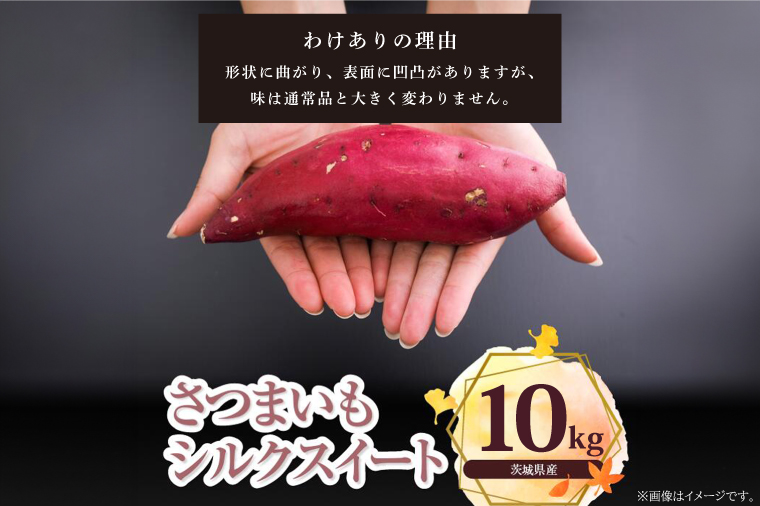 【訳あり】さつまいも　シルクスイート 約10kg｜さつまいも 芋 お芋 わけあり 訳あり シルクスイート タネのハシモト 茨城県 行方市(BS-22)