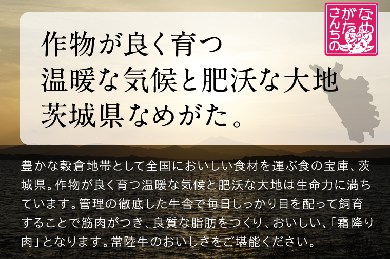 【2026年3月中旬より順次発送】★数量限定★常陸牛 牛丼の具 10袋入り｜肉 お肉 常陸牛 牛丼 牛肉 数量限定 ブランド 和牛 贅沢 簡単 茨城県 行方市(CU-322)