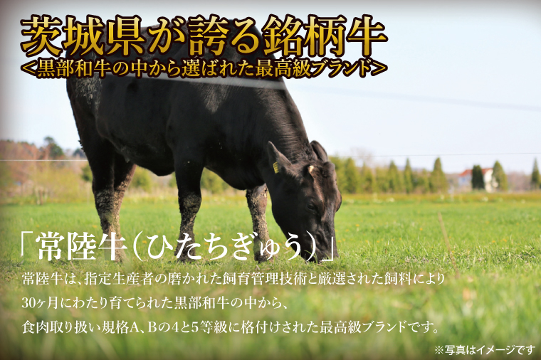 美明豚小間切れ＆常陸牛切り落とし 計1kg(各約500g×1)｜肉 お肉 牛肉 肉類 牛肉 常陸牛 美明豚 切り落とし 小間切れ セット アソート ブランド 使い切り 少量 茨城県 行方市(DH-32)