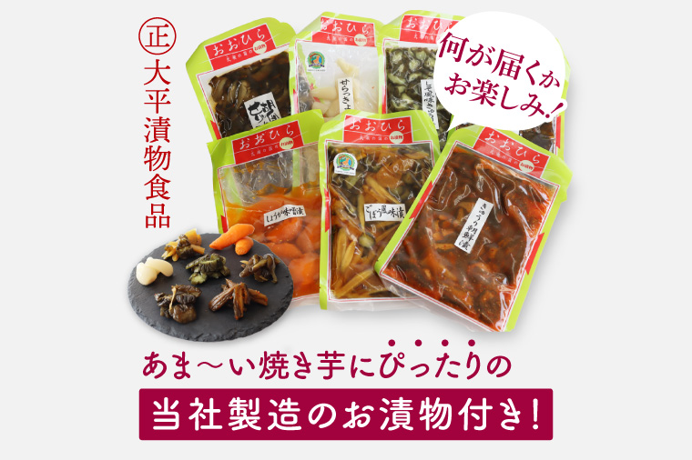 FD-3　【数量限定】つけもの屋が焼いた『やきいも』約3kg（漬物付き）