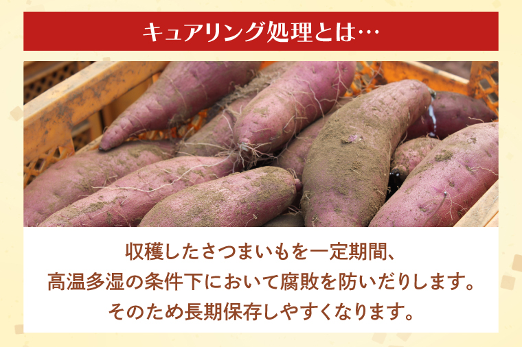 【2025年12月より順次発送】茨城県産 紅はるか 訳あり サイズミックス　約10kg｜訳あり わけあり 訳アリ さつまいも サツマイモ さつま芋 紅はるか べにはるか 芋 いも 茨城県産 行方市(FU-4)