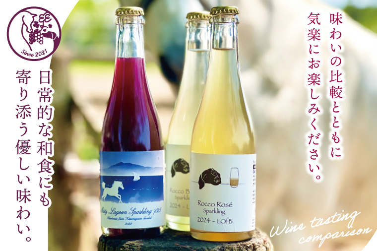 スパークリングワイン「泡3種セット」｜ワイン スパークリングワイン ボトルワイン 酒 お酒 酒類 ボトル ぶどう ブルーベリー ロゼ セット ワインセット 茨城県 行方市(GQ-6)