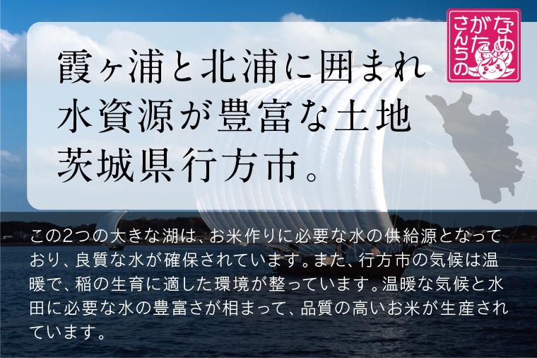 【2025年11月下旬より順次発送】★最短3営業日で発送★十八雑穀 パックごはん 18食入り 安心の国産原料｜米 お米 こめ パックごはん パックご飯 ごはん 安心 国産 スピード発送 十八雑穀 茨城県 行方市(HE-1-1)