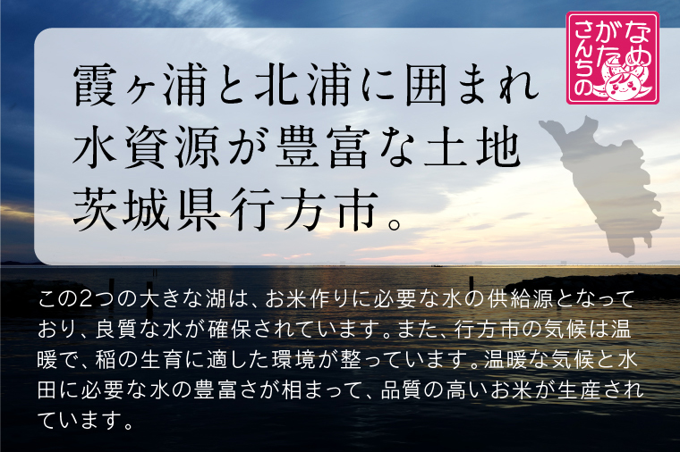 ★最短3営業日で発送★ミルキークイーン パックごはん 白米 18食入り 極上の甘みともちもち食感｜米 お米 こめ パックごはん パックご飯 ミルキークイーン 白米 ごはん 安心 国産 スピード発送 茨城県 行方市(HE-2-1)