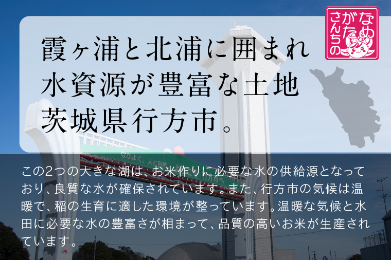 【2025年11月下旬より順次発送】★最短3営業日で発送★ミルキークイーン パックごはん 玄米 18食入り 甘み豊かもちぷち｜米 お米 こめ パックごはん パックご飯 ミルキークイーン 玄米 ごはん 安心 国産 スピード発送 茨城県 行方市(HE-3)