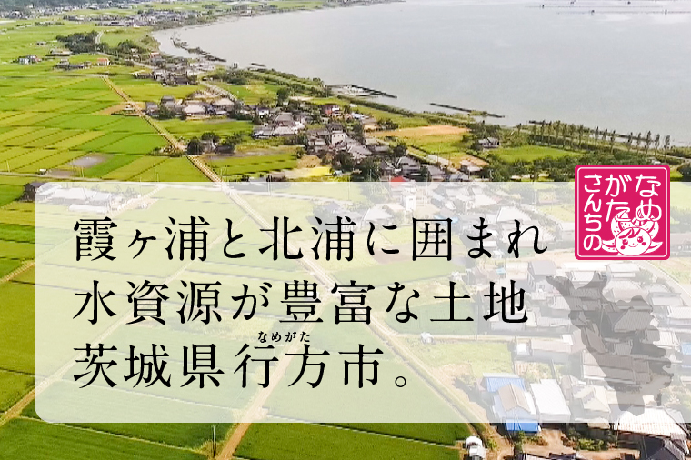 茨城県産コシヒカリ パックごはん(白米) 160g×18食｜コシヒカリ こしひかり 白米 パックご飯 パックごはん 備蓄 防災備蓄 簡単 茨城県産 茨城県 行方市 人気 送料無料(HE-4)
