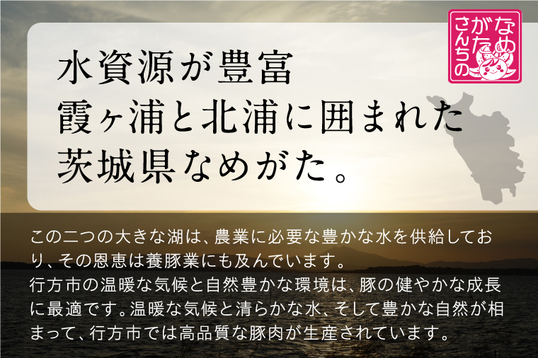 【2025年12月上旬より順次発送】美明豚「びめいとん」のジューシー餃子 2パック(30個入り×2袋)｜餃子 ぎょうざ ギョウザ 美明豚 びめいとん 数量限定 肉 肉加工品 豚肉 お肉 ジューシー 先行予約 茨城県 行方市(HJ-2)