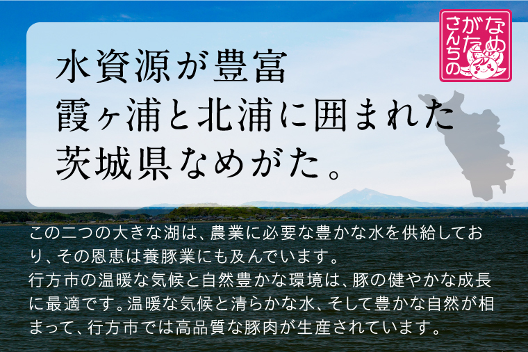 焼売 餃子 美明豚「びめいとん」のジューシー焼売と餃子のアソート｜シュウマイ 焼売 しゅうまい 餃子 ぎょうざ ギョウザ 美明豚 びめいとん 肉 肉加工品 豚肉 お肉 ジューシー 茨城県 行方市(HJ-3)