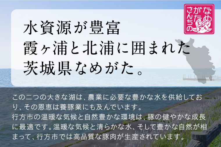 【2025年12月中旬より順次発送】焼売 美明豚「びめいとん」のジューシー焼売 1袋(20個入り)｜シュウマイ 焼売 美明豚 びめいとん 肉 肉加工品 豚肉 お肉 ジューシー 数量限定 先行予約 茨城県 行方市(HJ-4-1)