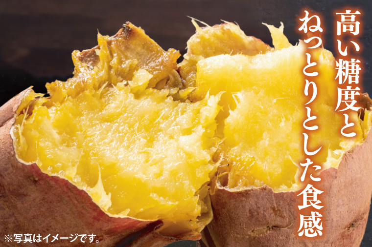 【2025年9月より順次発送】さつまいも(紅はるか) 約5kg｜さつまいも 芋 サツマイモ 紅はるか 先行予約 茨城県 行方市(HP-1)