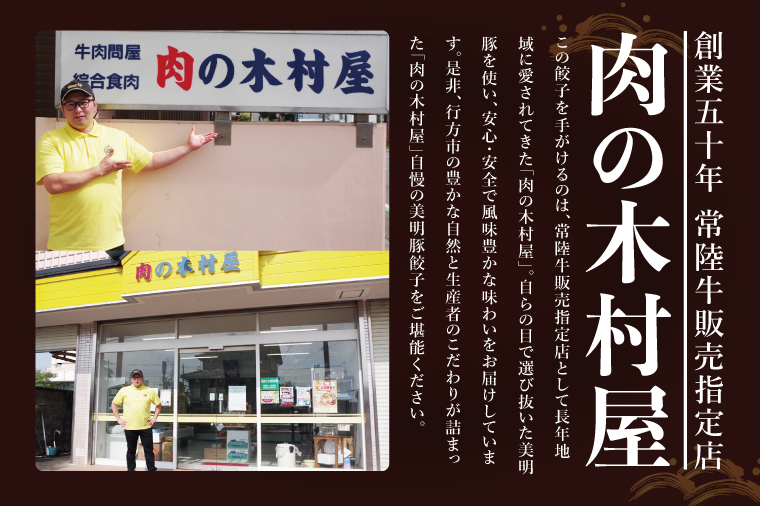 【12ヶ月定期便】茨城最高のブランド牛【常陸牛切り落とし】約600g｜肉 お肉 牛肉 常陸牛 切り落とし ブランド牛 定期便 お肉定期便 茨城県 行方市(J-16)