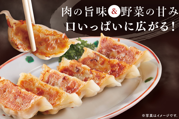 自慢の1品！木村屋の美明豚餃子 80個入り｜肉 お肉 豚肉 美明豚 ブランド豚 国産 餃子 ギョウザ 肉の木村屋 茨城県 行方市(J-21)