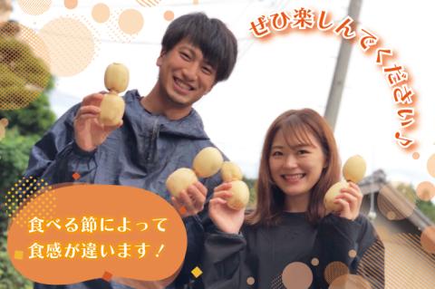 レンコン 約2kg｜茨城県 行方市 ふるさと納税 蓮根 レンコン(EG-2)