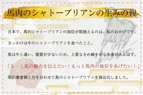 DN-19「限定価格」馬刺しシャトーブリアンの肉塊刺し（冷凍）200g　九州しょうゆ付き