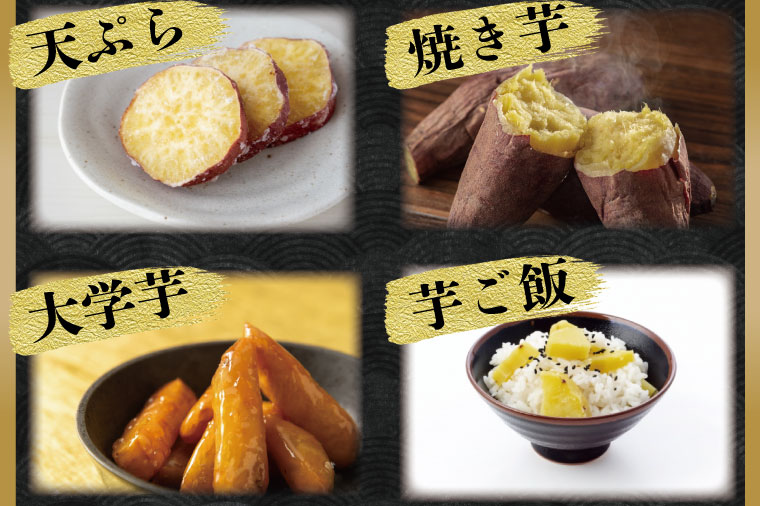 【2026年2月より順次発送】★訳あり★ 無選別 行方台地のさつまいも 紅はるか 約10kg｜さつまいも 芋 サツマイモ 紅はるか 訳あり わけあり 無選別 先行予約 茨城県 行方市(CU-55-5)