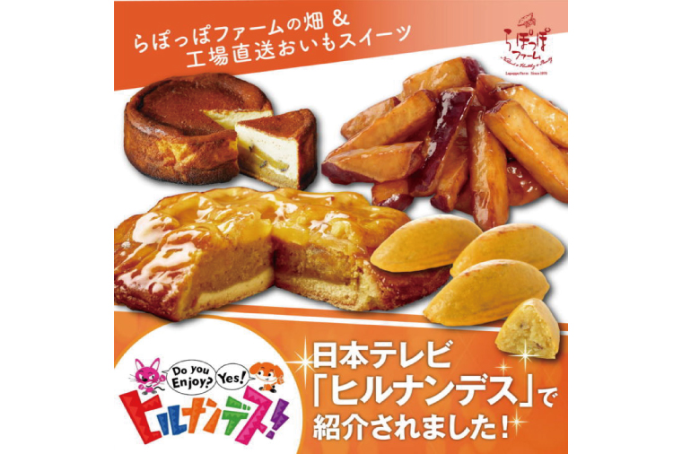 【3ヶ月定期便】らぽっぽファーム　ポテトアップルパイ|りんごパイ パイ 焼き菓子ギフト さつまいもスイーツ ご褒美スイーツ 芋スイーツ おいもスイーツ お菓子 さつまいも 内祝 健康 おやつ 定期便（CQ-49）