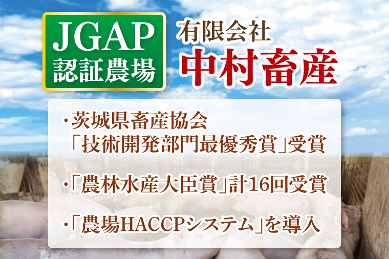 美明豚ロース味噌焼き+ロース山賊焼きセット(調理済み)｜肉 お肉 豚肉 ロース 味噌 味噌焼き 山賊焼き 美明豚 銘柄豚 簡単 調理済み 茨城県 行方市(DH-35)