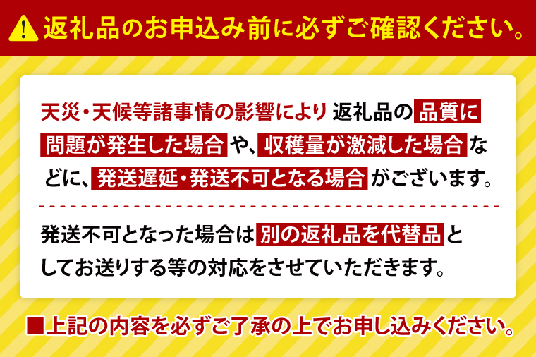 【2026年1月発送】甘～い！いちご やよいひめ 3箱(1箱：12粒～15粒入り)｜いちご イチゴ 苺 ストロベリー やよいひめ 果物 くだもの フルーツ 先行予約 茨城県 行方市(V-7)