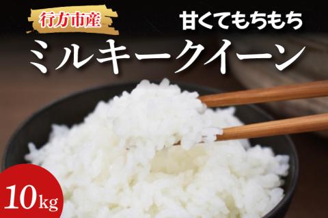 ★令和7年度産★甘くてもちもち ミルキークイーン 10kg｜米 お米 こめ ミルキークイーン 令和7年産 R7年産 白米 茨城県 行方市(BR-3-1)