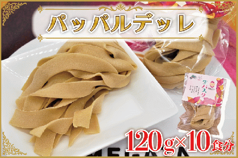 CJ-13 生パスタ （パッパルデッレ10食分）