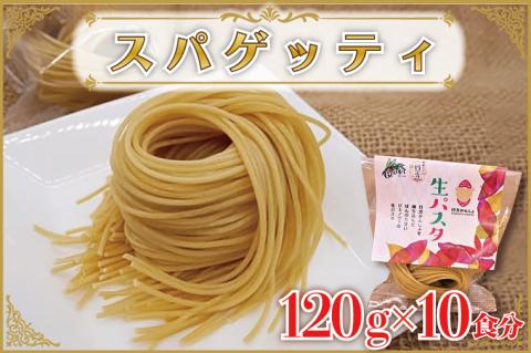 CJ-15 生パスタ （スパゲッティ10食分）
