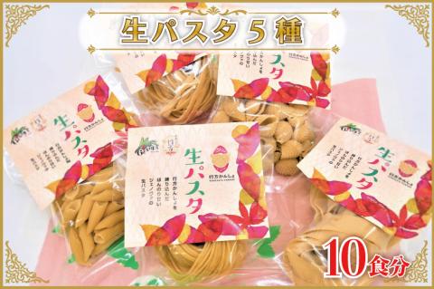 CJ-17 【行方市産さつまいも紅はるか使用】 生パスタ5種（計10食分）