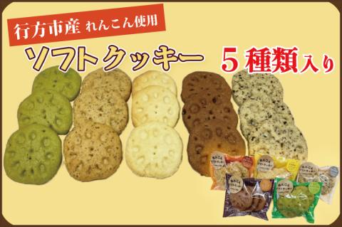 DV-3　れんこん農家青年が作る★ソフトクッキー★