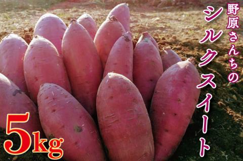 【2026年1月中旬より順次発送】野原さんちのシルクスイート 約5kg｜芋 さつまいも サツマイモ お芋 いも シルクスイート 期間限定 先行予約 茨城県 行方市(EL-3-1)