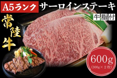 【常陸牛A5ランク】サーロインステーキ　600ｇ【300ｇ×２枚】（DT-2）