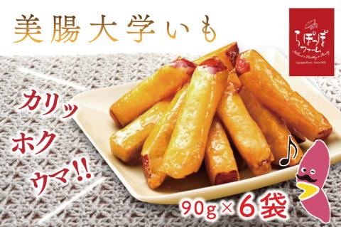 【2025年12月中旬より順次発送】らぽっぽファーム　美腸大学いも　90g×6袋｜さつまいも 大学芋 芋 サツマイモ だいがくいも スイーツ お菓子 冷凍 美腸大学芋 人気 送料無料 茨城県 行方市 らぽっぽファーム(CQ-14)