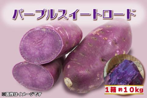 【2025年11月より順次発送】2025年度産 パープルスイートロード 約10kg｜さつまいも 芋 お芋 パープルスイートロード 渋谷農園 先行予約 茨城県 行方市(BZ-8)