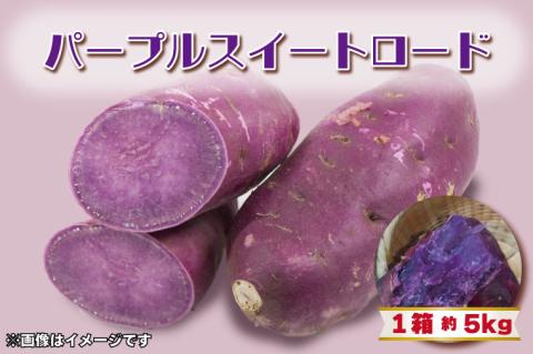 【2025年11月より順次発送】2025年度産 パープルスイートロード 約5kg｜さつまいも 芋 お芋 パープルスイートロード 渋谷農園 先行予約 茨城県 行方市(BZ-9)
