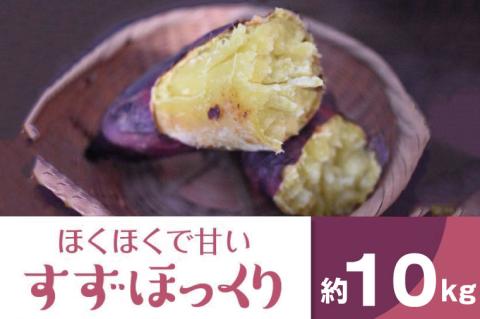 2025年度産 ホクホクで甘いさつまいも すずほっくり 約10kg｜さつまいも 芋 お芋 すずほっくり 渋谷農園 茨城県 行方市(BZ-12)