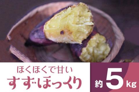 2025年度産 ホクホクで甘いさつまいも すずほっくり 約5kg｜さつまいも 芋 お芋 すずほっくり 渋谷農園 茨城県 行方市(BZ-13)