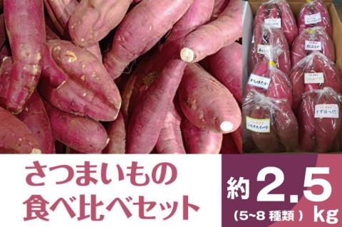 【2025年11月より順次発送】2025年度産 いろんなさつまいも食べ比べセット 約2.5kg(5～8品種)|さつまいも サツマイモ いも 芋 食べ比べ 茨城県 行方市（BZ-16）
