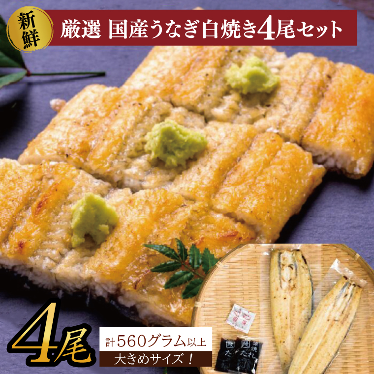 大きな国内産うなぎ白焼(酒蒸し)140～160g×4尾　計560g以上｜うなぎ 鰻 ウナギ 国産 国産うなぎ 白焼き 白焼 酒蒸し 土用の丑の日 丑の日 茨城県 行方市(AD-148)