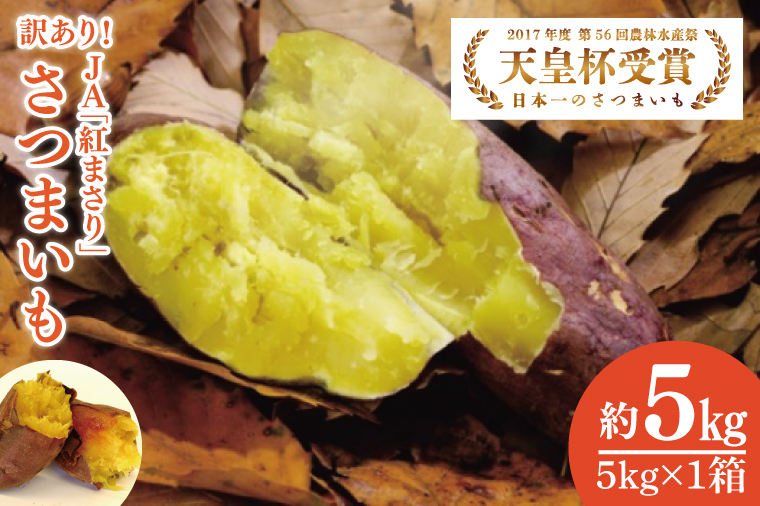【2026年2月より順次発送】【訳あり】行方かんしょ「紅まさり」さつまいも約5kg（洗い・不揃い・C品）｜さつまいも サツマイモ さつま芋 お芋 紅まさり 訳あり わけあり 訳アリ 行方かんしょ 茨城県 行方市(AE-110)