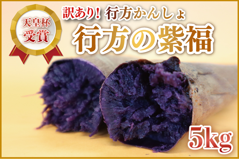 【2026年2月より順次発送】【訳あり】行方かんしょ「行方の紫福」さつまいも約5kg（洗い・不揃い・C品）｜さつまいも サツマイモ さつま芋 お芋 行方の紫福 訳あり わけあり 訳アリ 行方かんしょ 茨城県 行方市(AE-112)