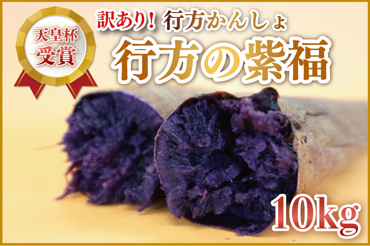 【2026年2月より順次発送】【訳あり】行方かんしょ「行方の紫福」さつまいも約10kg（洗い・不揃い・C品）｜さつまいも サツマイモ さつま芋 お芋 行方の紫福 訳あり わけあり 訳アリ 行方かんしょ 茨城県 行方市(AE-113)