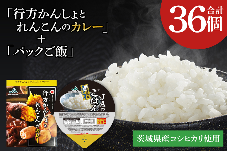 ～GI登録「さつまいも」使用～「行方かんしょとれんこんのカレー」＆「パックご飯」各18個セット｜カレー レトルト レトルトカレー パックご飯 ごはん レンジ コシヒカリ 非常食 ご当地 ご当地カレー 人気 オススメ 便利 特産品 地元特産品 茨城県 行方市(AE-148)