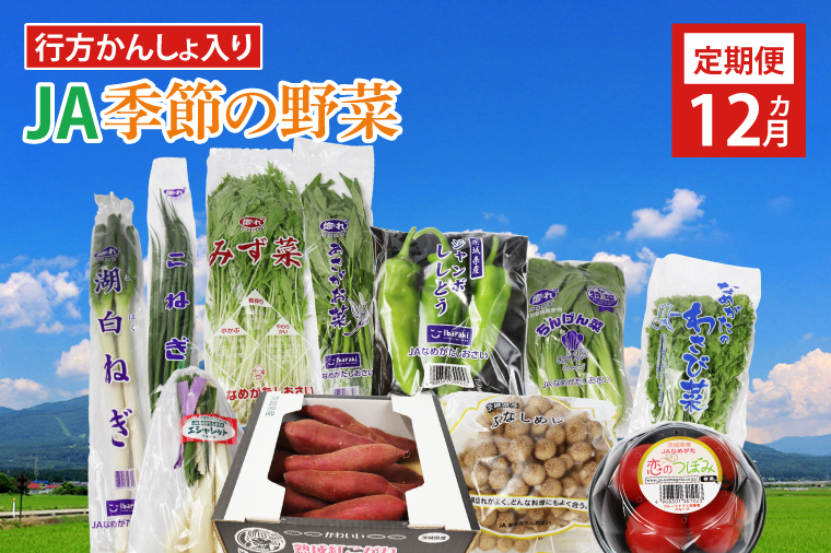 AE-23 『行方かんしょ』入り【12ヶ月定期便】JAなめがたしおさい 季節の野菜セット（毎月1回 計12回発送）