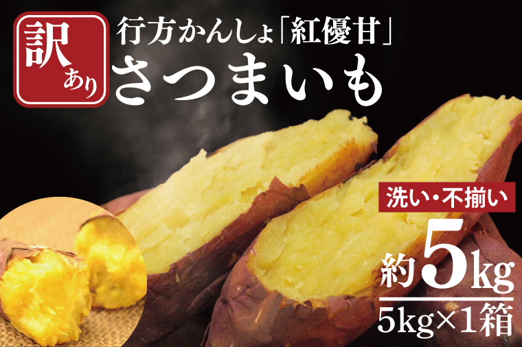 【2025年11月下旬より順次発送】【訳あり】行方かんしょ「紅優甘」さつまいも約5kg(洗い・不揃い)｜さつまいも サツマイモ さつま芋 お芋 紅優甘 行方かんしょ 訳あり わけあり 訳アリ 茨城県 行方市(AE-94)