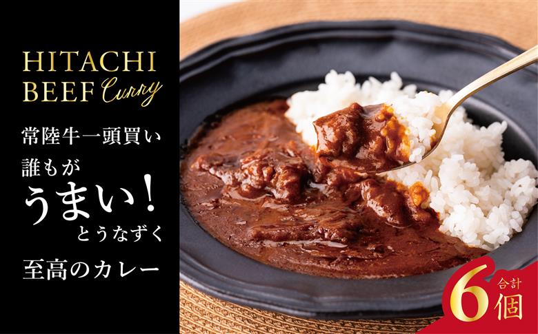 常陸牛100％カレー 200g×6個｜カレー レトルトカレー 常陸牛 人気 簡単 茨城県 行方市(AP-13)
