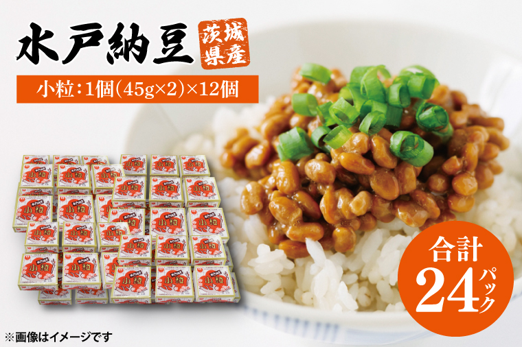 水戸納豆 小粒 12個(1箱6個入り×2)｜納豆 水戸納豆 小粒 小粒納豆 茨城県 行方市(BD-2)
