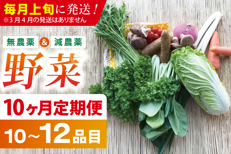 【10ヶ月定期便】★毎月上旬発送★身体が喜ぶ季節の野菜 10～12品目｜野菜 やさい 野菜セット セット 詰め合わせ おまかせ 定期便 野菜定期便 茨城県 行方市(BI-110)
